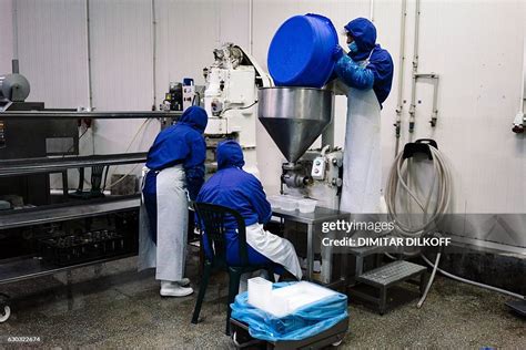 usine fois gras bulgarie